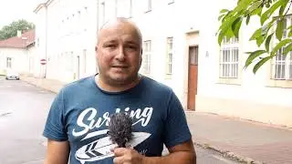 Jaworzno mało znane – Szczakowa – rozwój kolei żelaznej