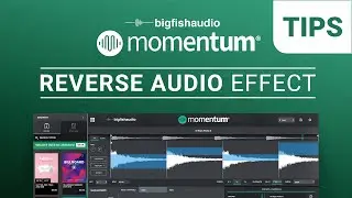 Reverse Audio Effect | Momentum Tips
