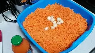 Неделя со мной / Заготовки / Огород и кот.