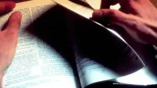 Curioso Tema