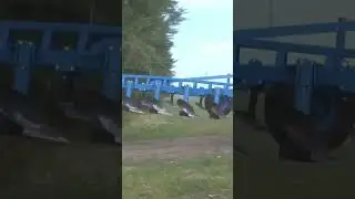 Трактор К-701 в агрегате с плугом ППО.