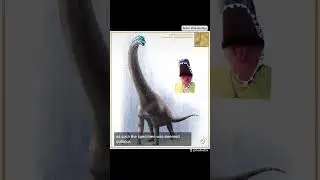 INVALID Dinosaur names!