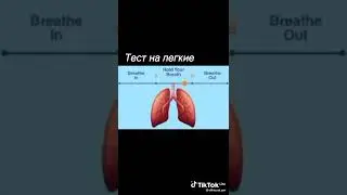 тест на лёгкие