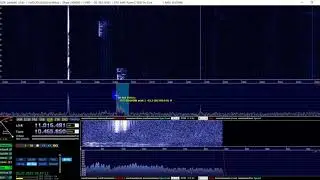 Вечерний приём, радиохулиганы на 10.460 МГц (10460 кГц), SSB (USB), радиосвязь , радиолюбители