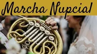 Entrada da noiva - Marcha Nupcial - F. Mendelssohn - Dominante Live Music - Música para Casamento