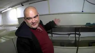 Личин Клариевого сома. 5 День на корме