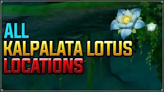 All Kalpalata Lotus Locations - Genshin Impact
