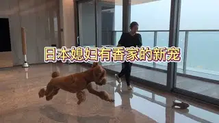 宠物就是你干活她陪着你，你郁闷她逗你开心！珍惜每一天和我们在一起生活的生命。
