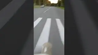 максималка на питбаи́ке