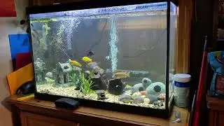 New 65g