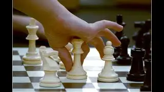 Шахматы (видео 14)