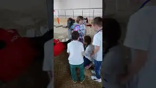 Наша команда на робофэсте в МГИМО