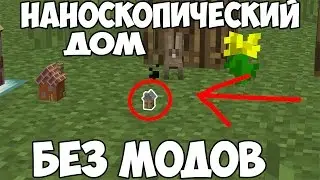 НАНОСКОПИЧЕСКИЙ ДОМ БЕЗ МОДОВ