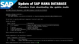 SAP: Update of SAP HANA Database