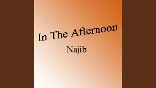 In the Afternoon