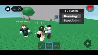 Fe Fighter script