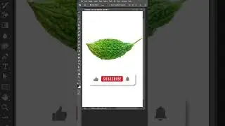 Karela Manipulation in photoshop