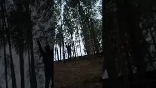 Турники наше всё ,мотивация для подписчиков =) #shorts #спорт