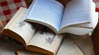 Стихотворение "Наслаждайтесь Жизненной Игрой"