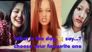 What is the dog say.. just for Fun