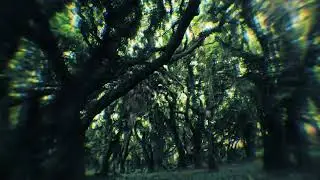 Denace - Made Me Believe (Snip)