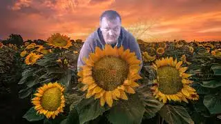 • Базар • Эмигрант •