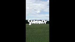 My own summer (or not)