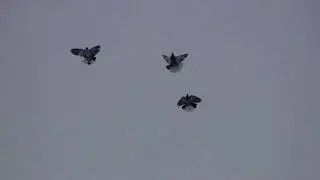 ответ Ивану...и предложение Дробинину В.