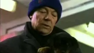 Бородатый холодильник (Борис Сичкин) на штырке