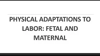 PHYSICAL ADAPTATION TO LABOR AND DELIVERY