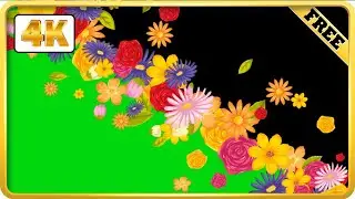 Flowers Transition falling green and black screen