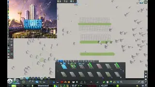 Cities Skylines build on both sides of the road instead of one side. It's a simple fix.