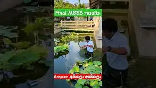 පේරා Final MBBS results හම්බුන විදිහ | faculty of medicine | University Of Peradeniya #shorts