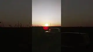 Рибалка . Літо. 2023.