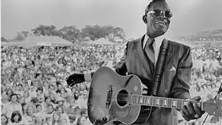 Lightnin Hopkins Back Door Friend Live