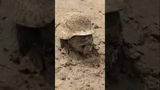 На обмелевшем дне Каховского водохранилища появились останки фашистов времён ВОВ