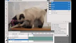 Редактируем видео в Photoshop