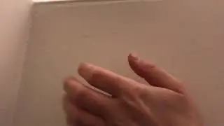 Scratches in the wall. Mice? Rats? Lizards? Quarrels? Rodents?