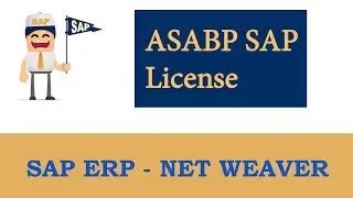 ERP SAP Basis - Net Weaver | AS ABAP SAP License |