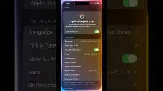 How to setup the new SIRI animation on IOS 18.1 