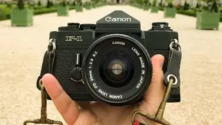 The waist level view finder of an Amazing Camera (Canon F-1) 