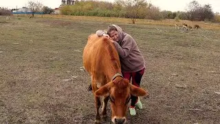 Я УХОЖУ С ЮТУБА?