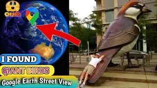 Giant Birds in Real Life Found on Google Earth and Google Map!!