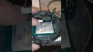 Эти сопли должны там быть? 