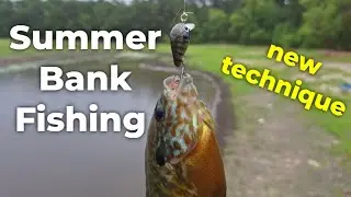 SUMMER BANK FISHING PANFISH!