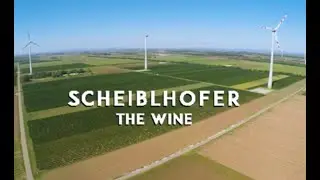 Scheiblhofer Weingut, Andau, Burgenland, AUSTRIA. VINEYARDS AND DRONE.