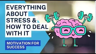 Everything About Stress & How To Deal With It