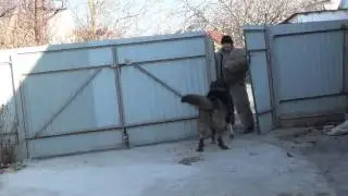 Tor - security of territory