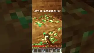 Пугают, черти #minecraft