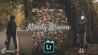 Moody brown | free download lightroom presets | lightroom mobile #lightroompresets #lightroommobile